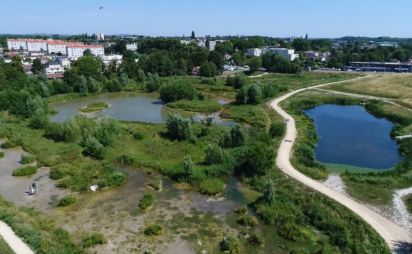 Découverte de la zone humide du Vignois et de ses oiseaux