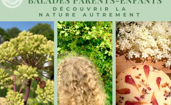 Balade parents-enfants : « Découvrir la nature autrement »