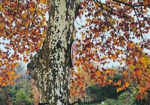 Sur la piste des animaux, à pied ou à vélo