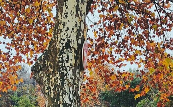 Sur la piste des animaux, à pied ou à vélo