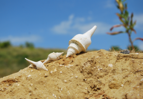 Quand la nature reprend ses droits