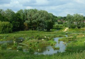 Les acrobates du ciel