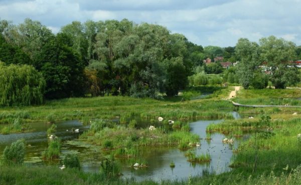 Les acrobates du ciel