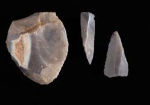 Visite familiale : la préhistoire au musée