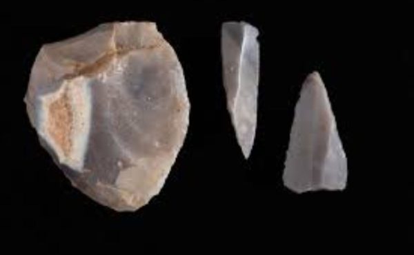 Visite familiale : la préhistoire au musée