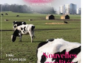 Festival Focus – Exposition « La ferme des Condos »