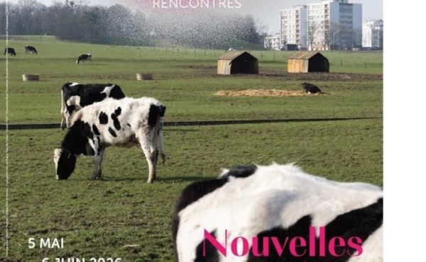 Festival Focus – Exposition « La ferme des Condos »