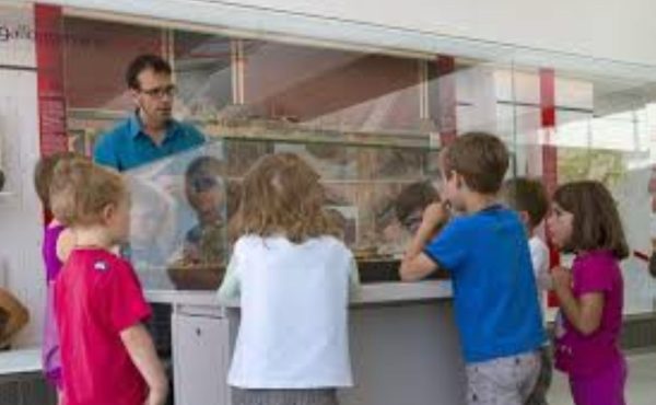 Atelier tout-petits : « gravez ocrez »