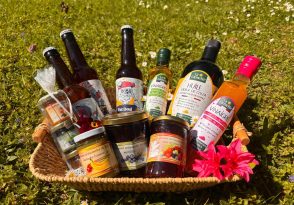 Rando des Terroirs en Grand Roissy_Gressy