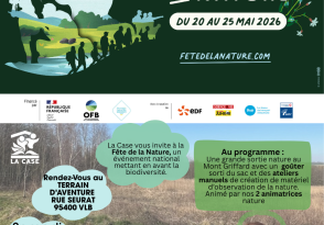 41064355-diaporama