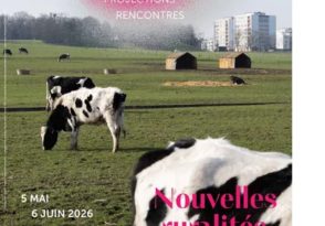 Festival Focus – Exposition « Les Pépinières Chatelain »