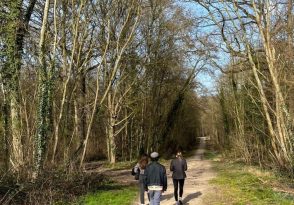 Balade découverte de la forêt d’Écouen et ses secrets_Écouen