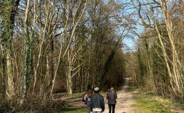 Balade découverte de la forêt d’Écouen et ses secrets_Écouen
