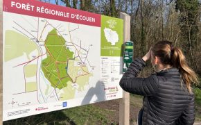 Balade découverte de la forêt d’Écouen et ses secrets_Écouen