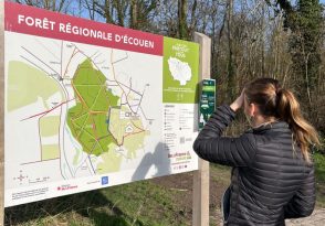 Balade découverte de la forêt d’Écouen et ses secrets_Écouen