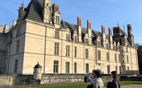 Balade découverte de la forêt d’Écouen et ses secrets_Écouen