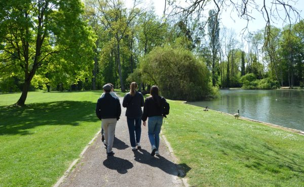 Balade à la découverte des oiseaux et de la flore de Gressy_Gressy