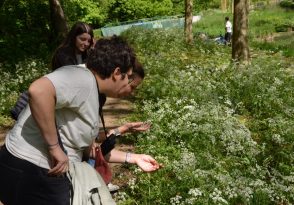 Balade à la découverte des oiseaux et de la flore de Gressy_Gressy