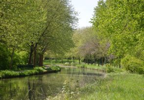 Balade à la découverte des oiseaux et de la flore de Gressy_Gressy