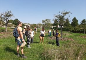 Initiation à la botanique