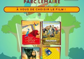Ciné plein-air