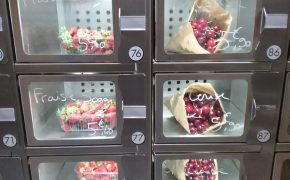 Les Vergers Viarmois