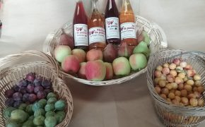 Les Vergers Viarmois