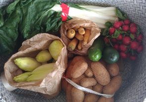 Les papilles en délire