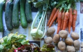 Le sourire dans l’assiette