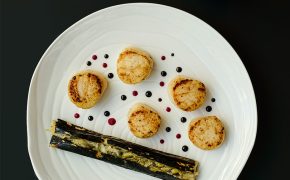 Plat noix de saint Jacques